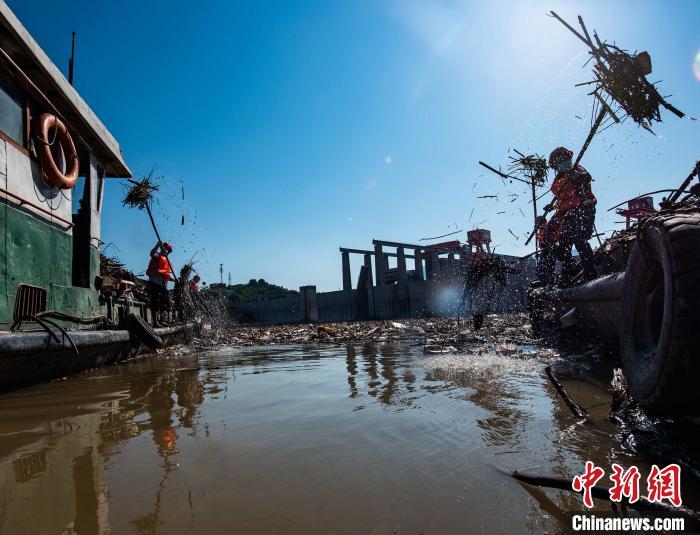 夷陵区公路维护监理事业单位项目概况与实施策略概览